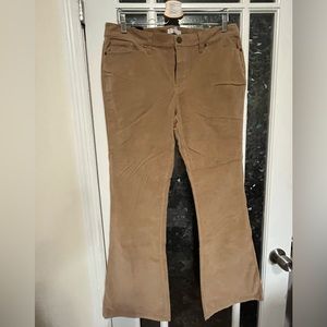NWT New York & Company tan corduroy pant Size 14